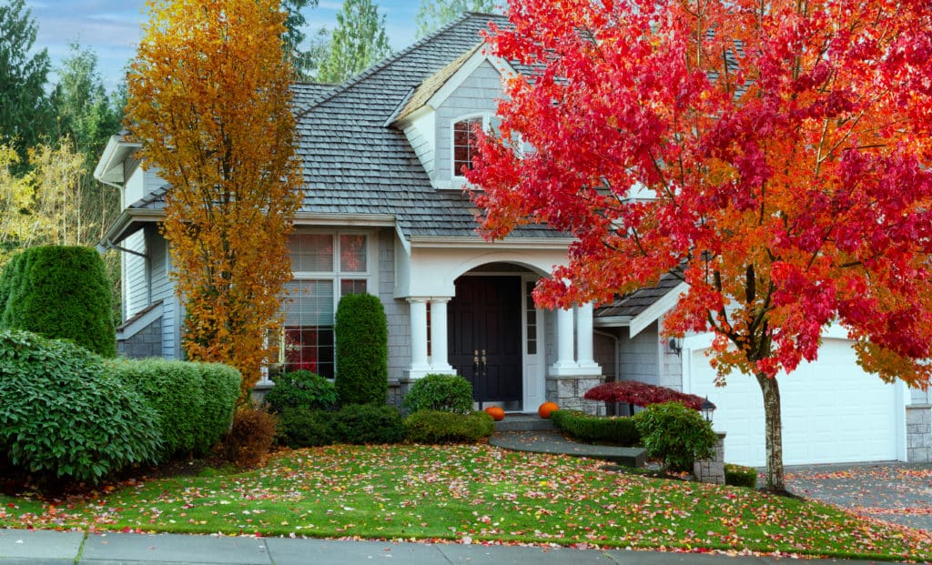 maine roofers